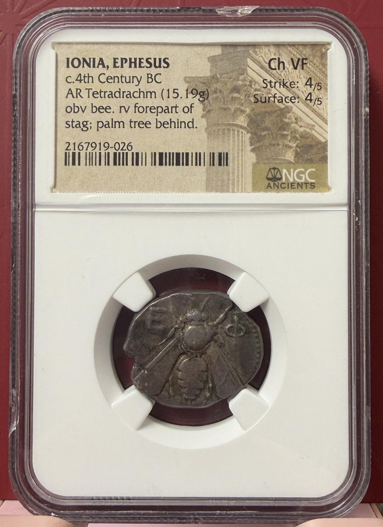 2026年3月捡漏拍