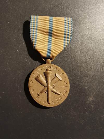 老王徽章第187期 - 美国国民卫队预备役服役奖章