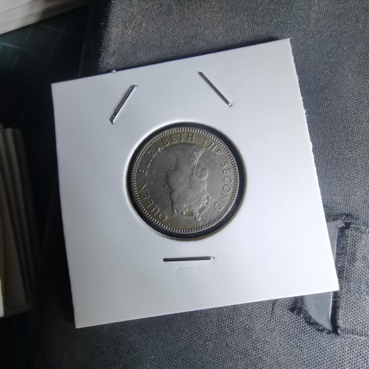 沼泽如烟--第1023场 东非1954年50分