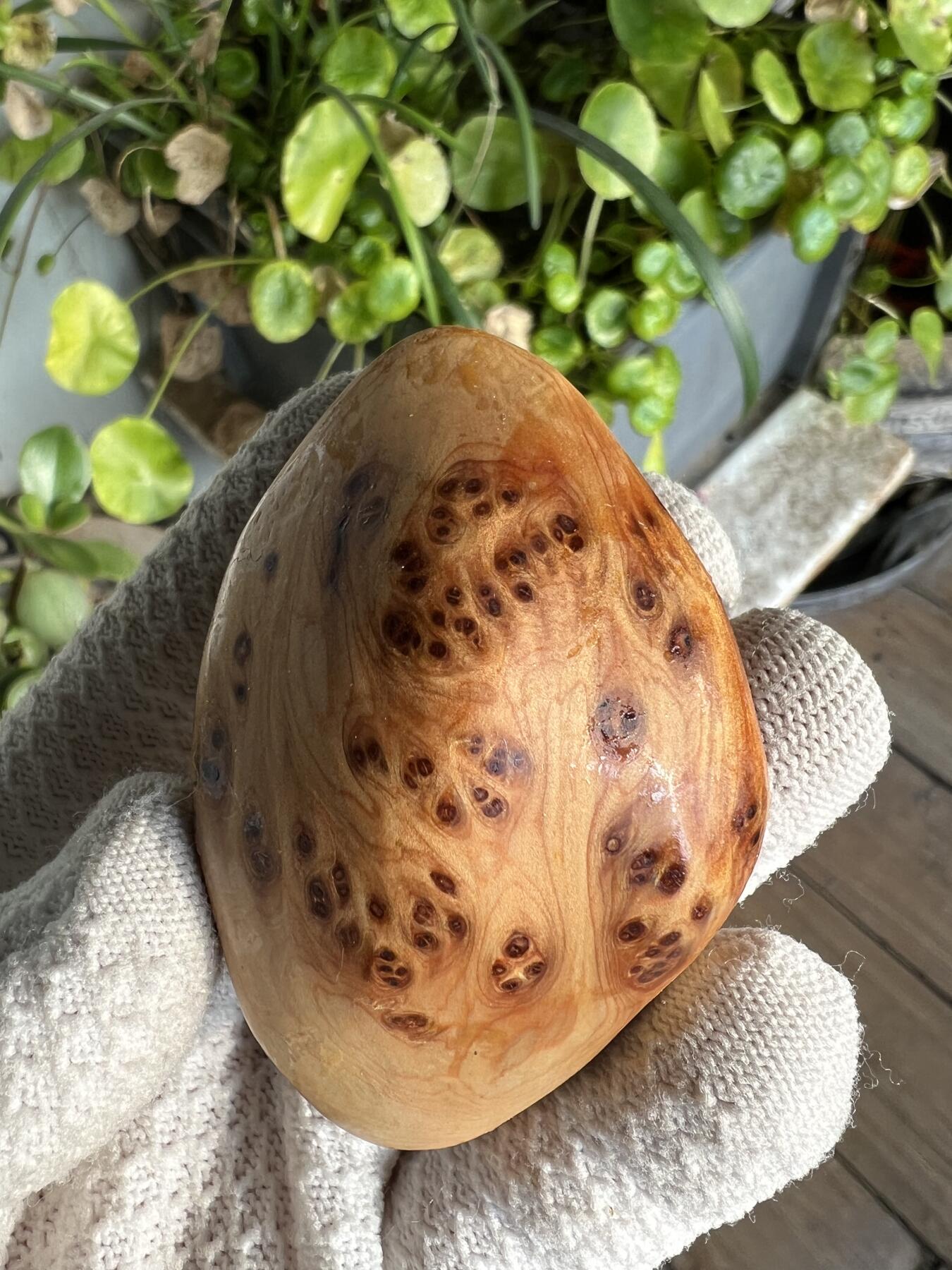 零元拍：崖柏瘤花随型手把件，十多年前的存货了，陈化的非常好，香味扑鼻，油性极大。