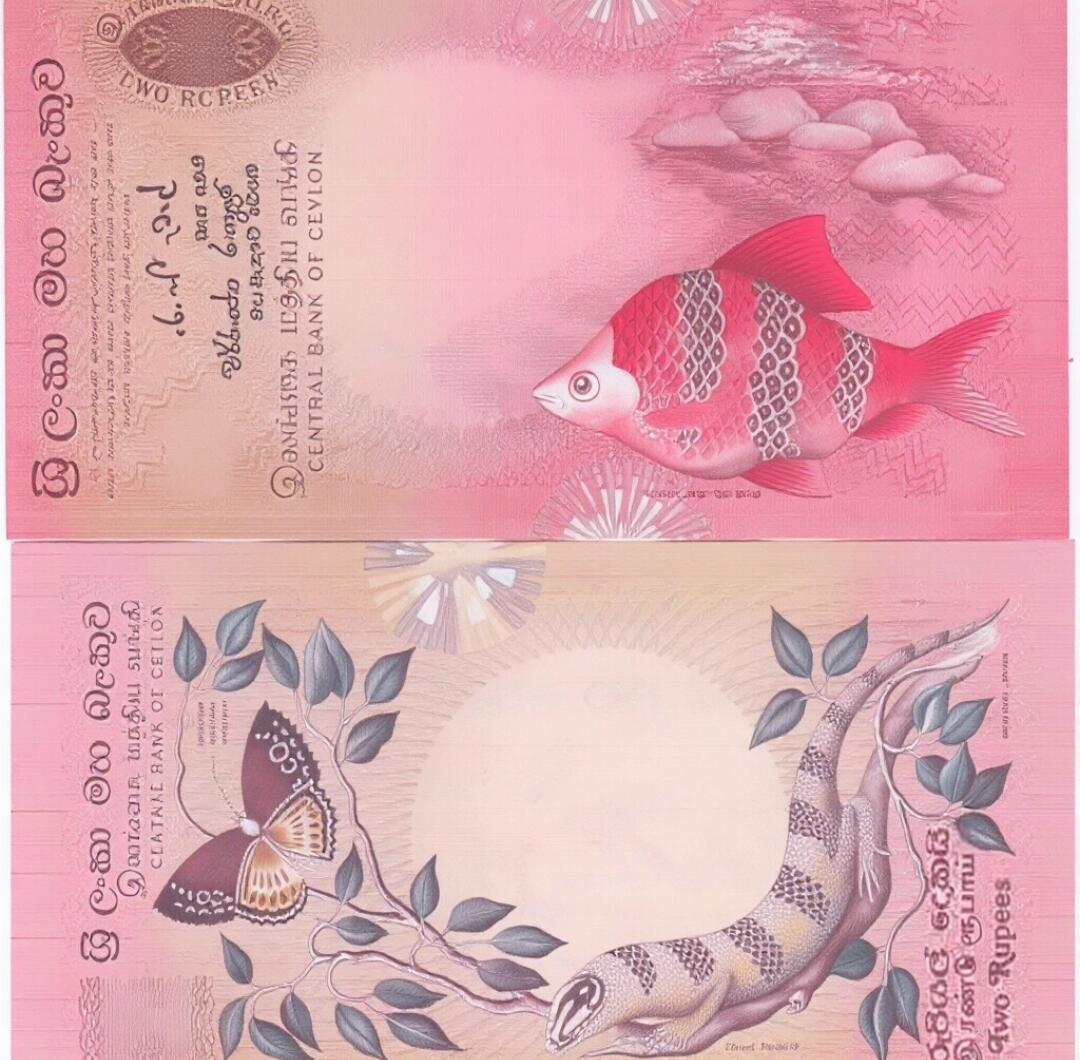 200多张爱藏和PMG一起出，不单出，总价放在最后