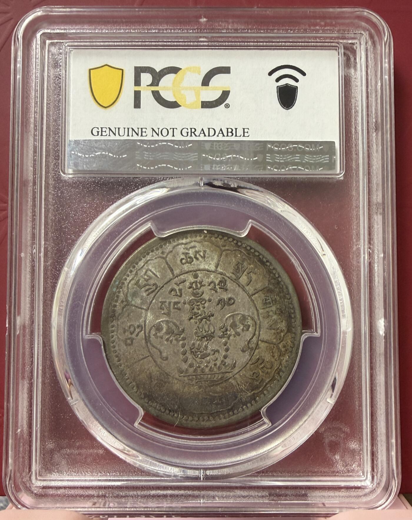 2026年3月捡漏拍