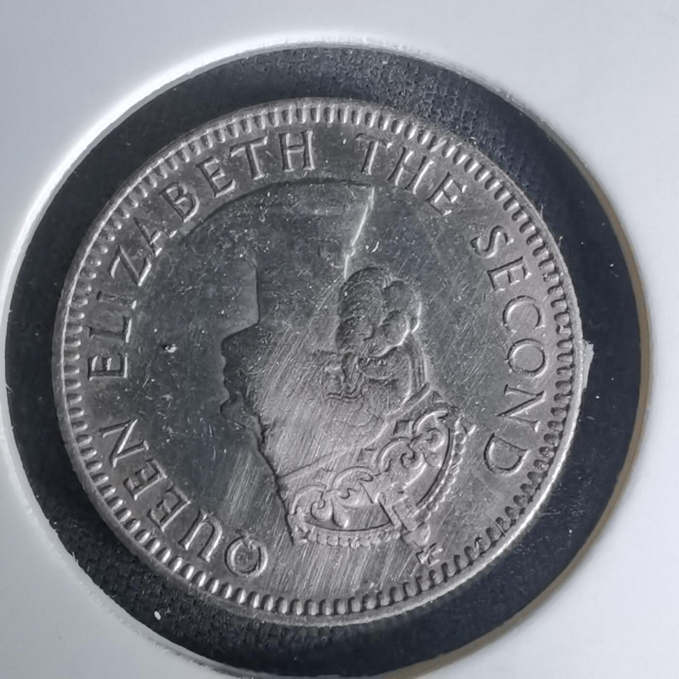 沼泽如烟--第1023场