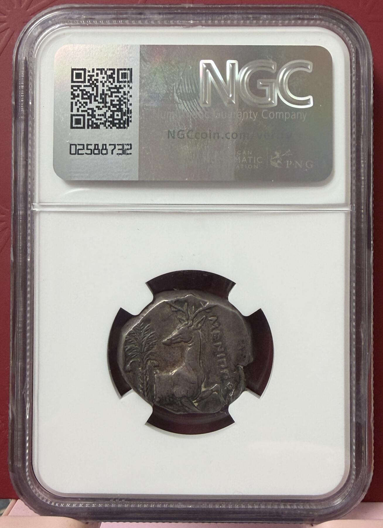 2026年3月捡漏拍