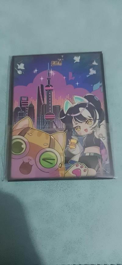 卡游专场  不寄存 - 卡游 卡套一包（10个）