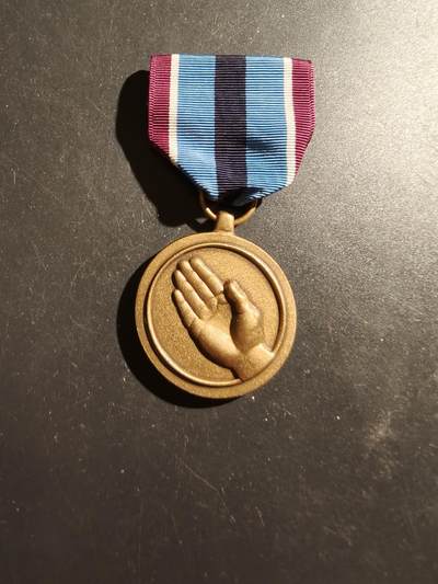 老王徽章第187期 - 美国武装力量人道主义服务奖章