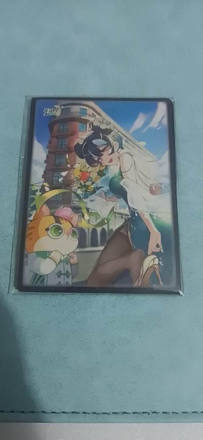 卡游专场  不寄存 - 卡游 卡套一包（10个）