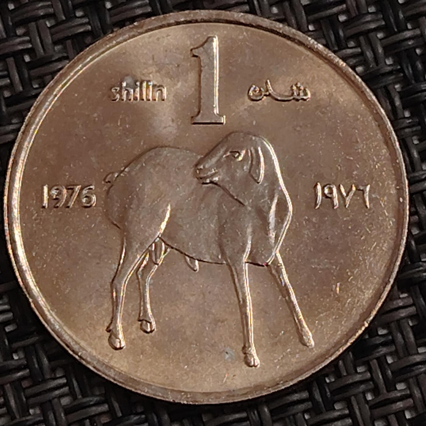 布加迪🐬～世界钱币(上海)🌾第 282 期 /  各国套币和散币 索马里 1976年 1先令 FAO纪念币