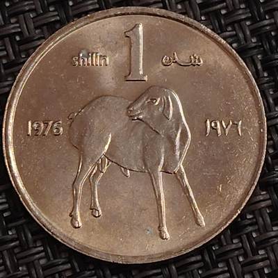 布加迪🐬～世界钱币(上海)🌾第 281 期 /  各国套币和散币 - 索马里 1976年 1先令 FAO纪念币