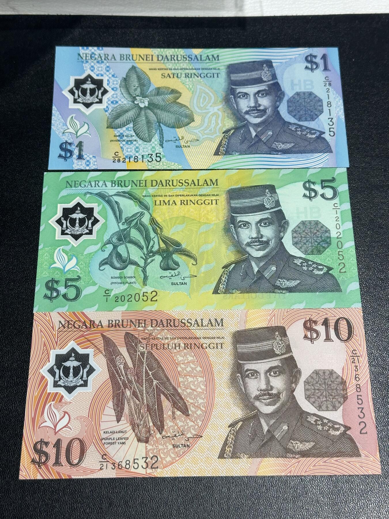 《外钞收藏家》第六百一十八期（精品场）（长期征集拍品、欢迎藏友们联系合作） 文莱倒三版本1/5/10林吉特塑料钞（其中5林吉特C1首发字冠，全程无47）	UNC