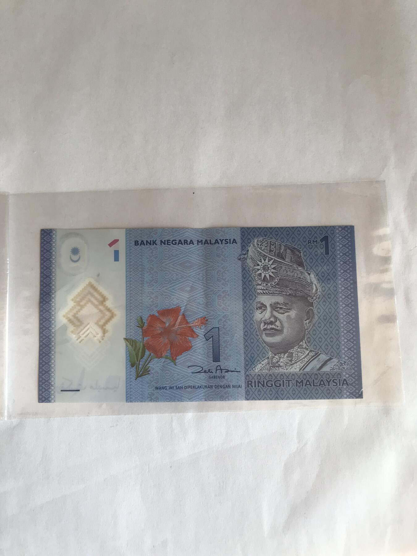 马来西亚一元塑料钞