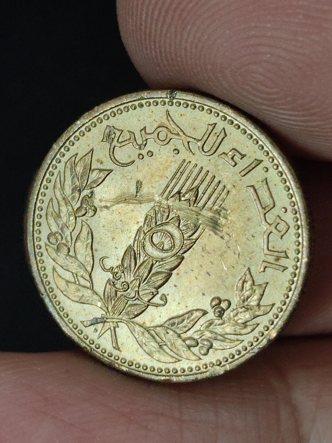 猩哥外币小铺➨【第221场】 中东