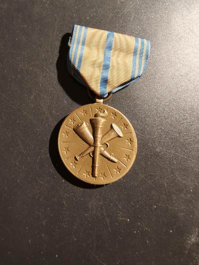 老王徽章第187期 - 美国海军预备役服役奖章