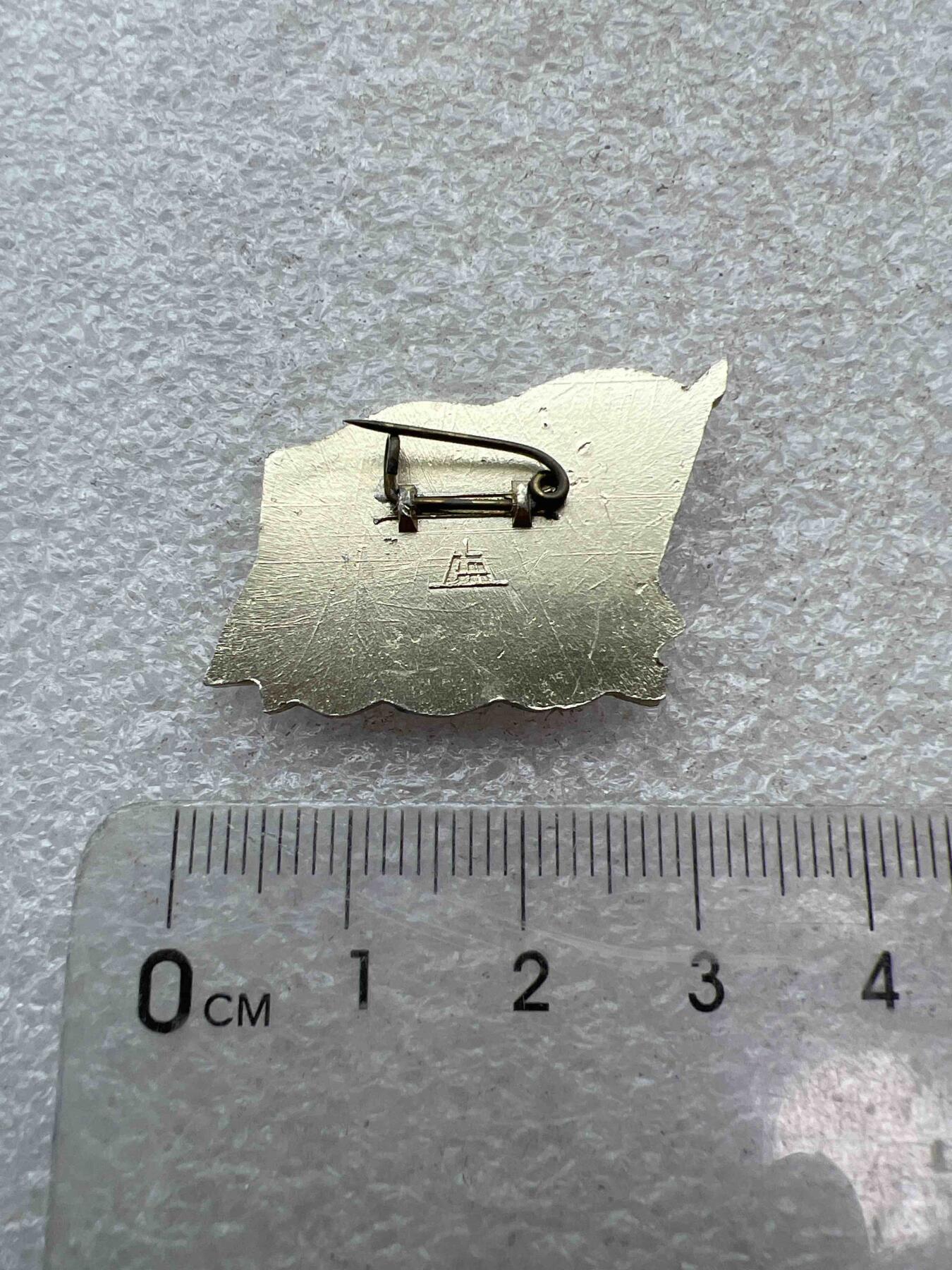 真品像章、纪念章 真品像章、纪念章