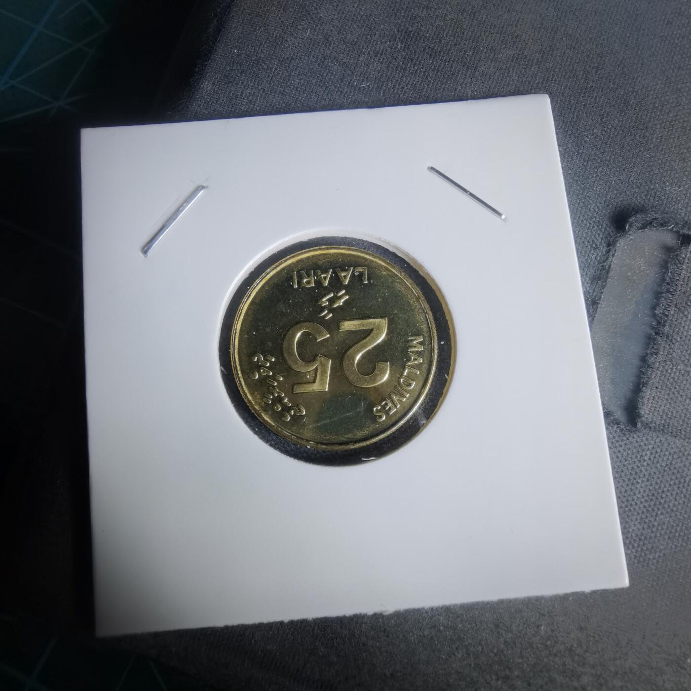 沼泽如烟--第1024场 马尔代夫2008年25拉雷