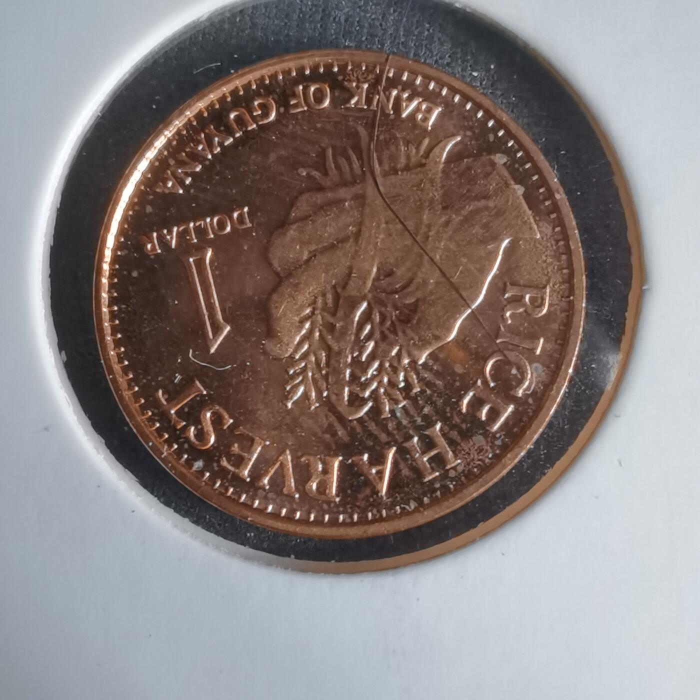 沼泽如烟--第1024场 圭亚那2015年一元