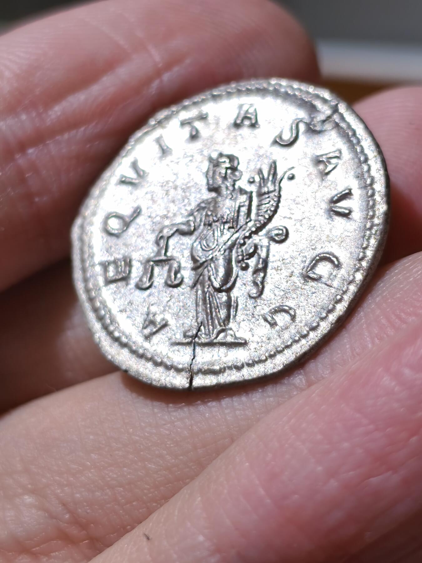 星盘世界钱币拍卖