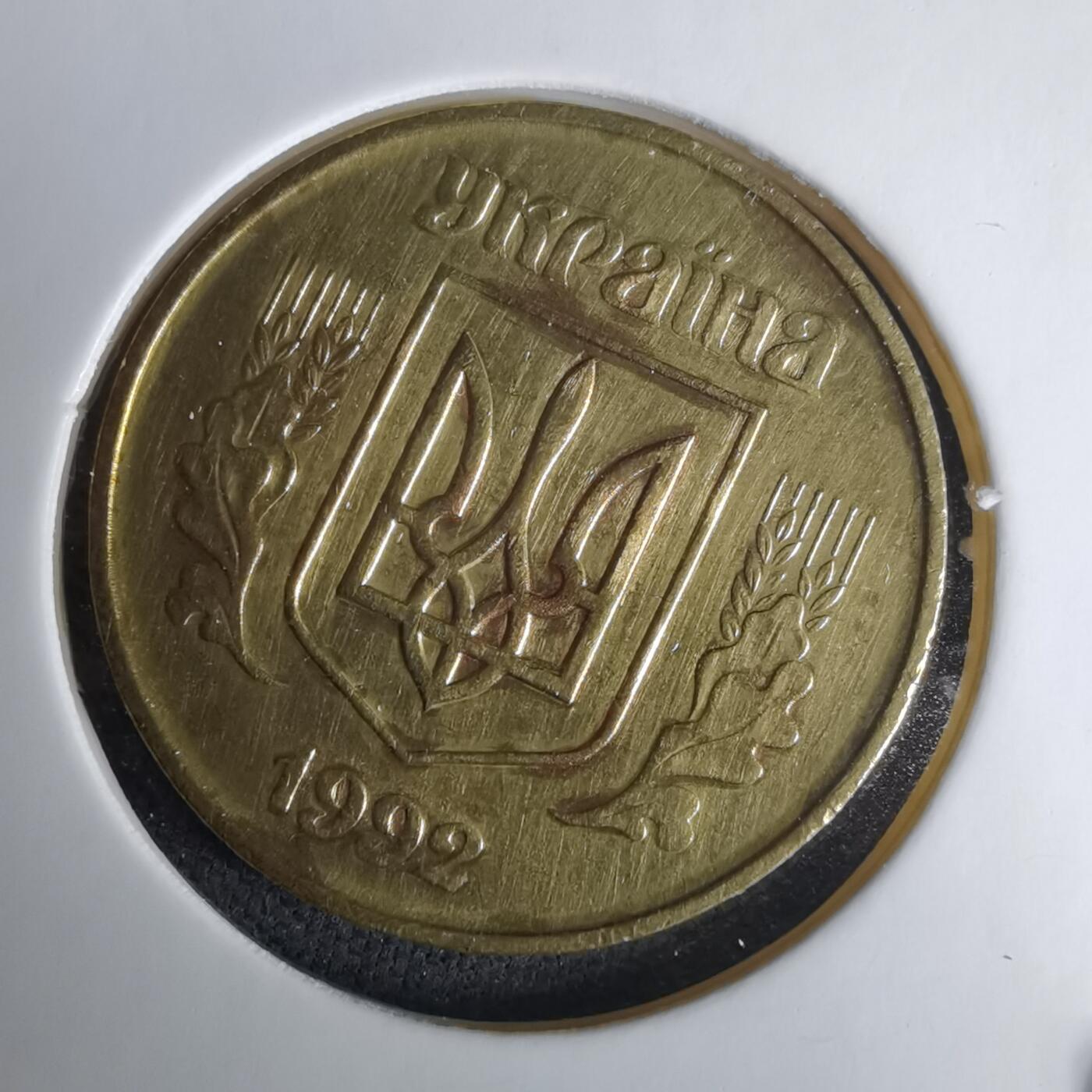 沼泽如烟--第1025场