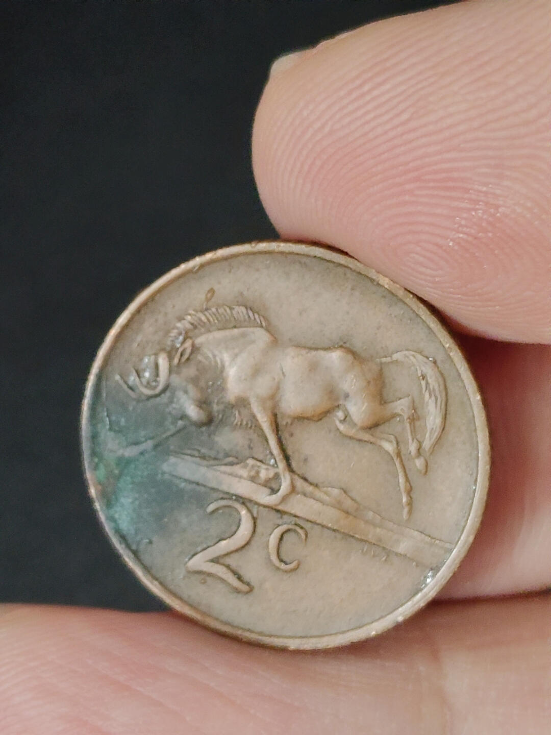 猩哥外币小铺➨【第221场】 南非