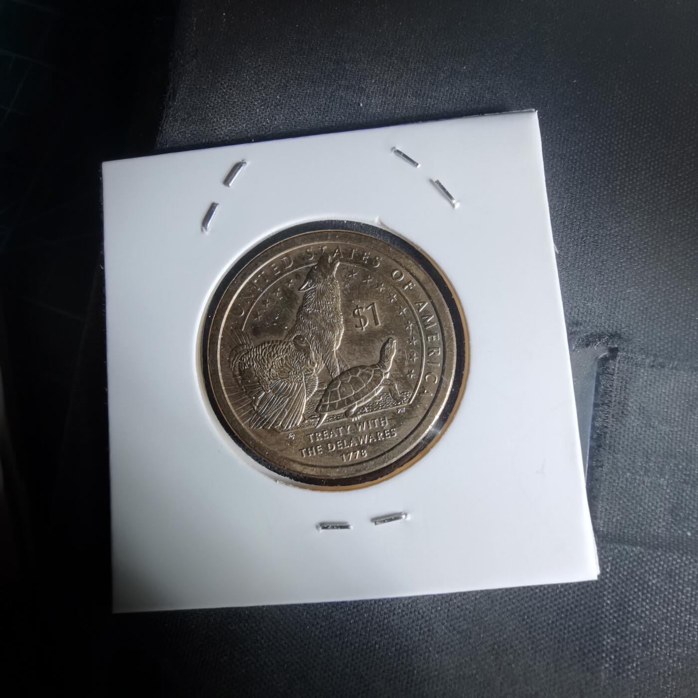 沼泽如烟--第1023场 美国一元