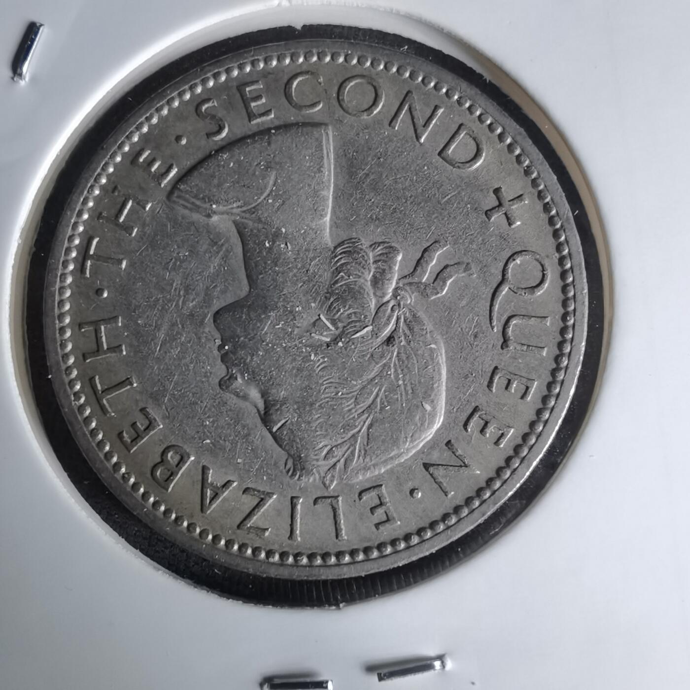 沼泽如烟--第1023场