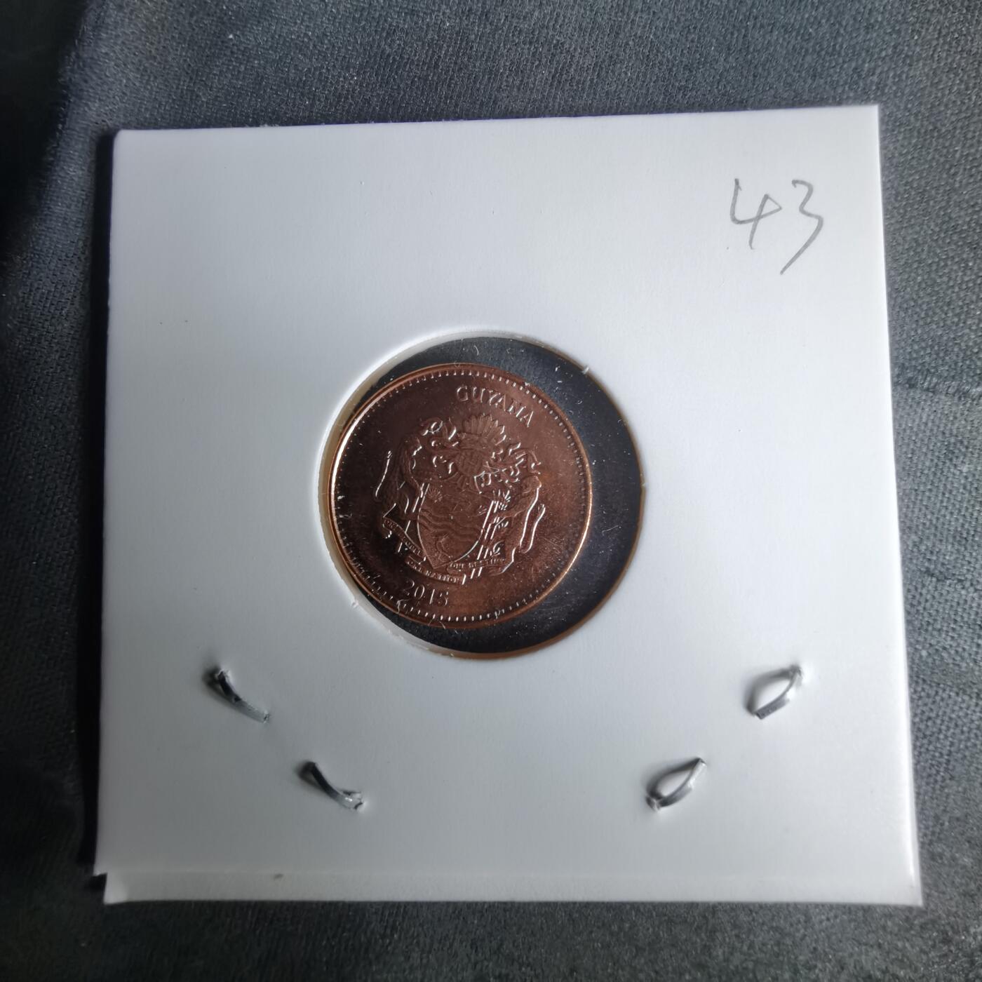 沼泽如烟--第1025场