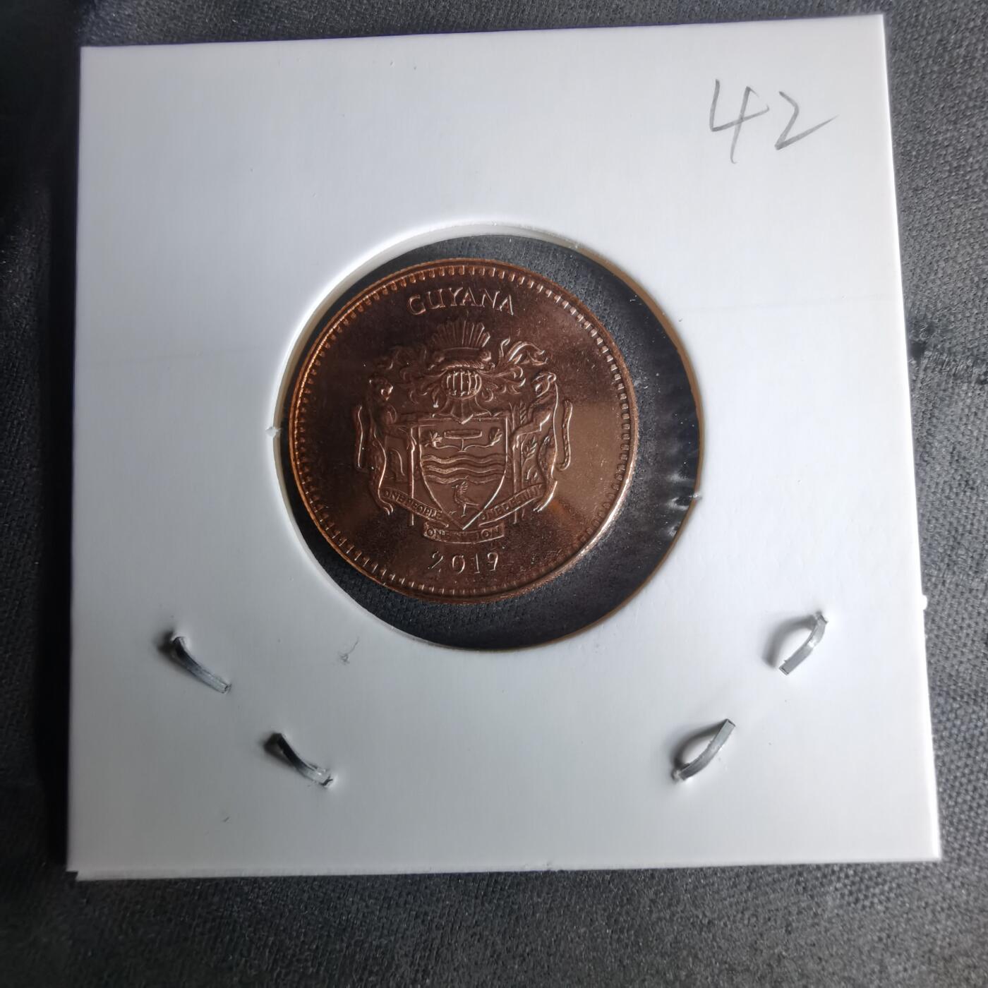 沼泽如烟--第1025场