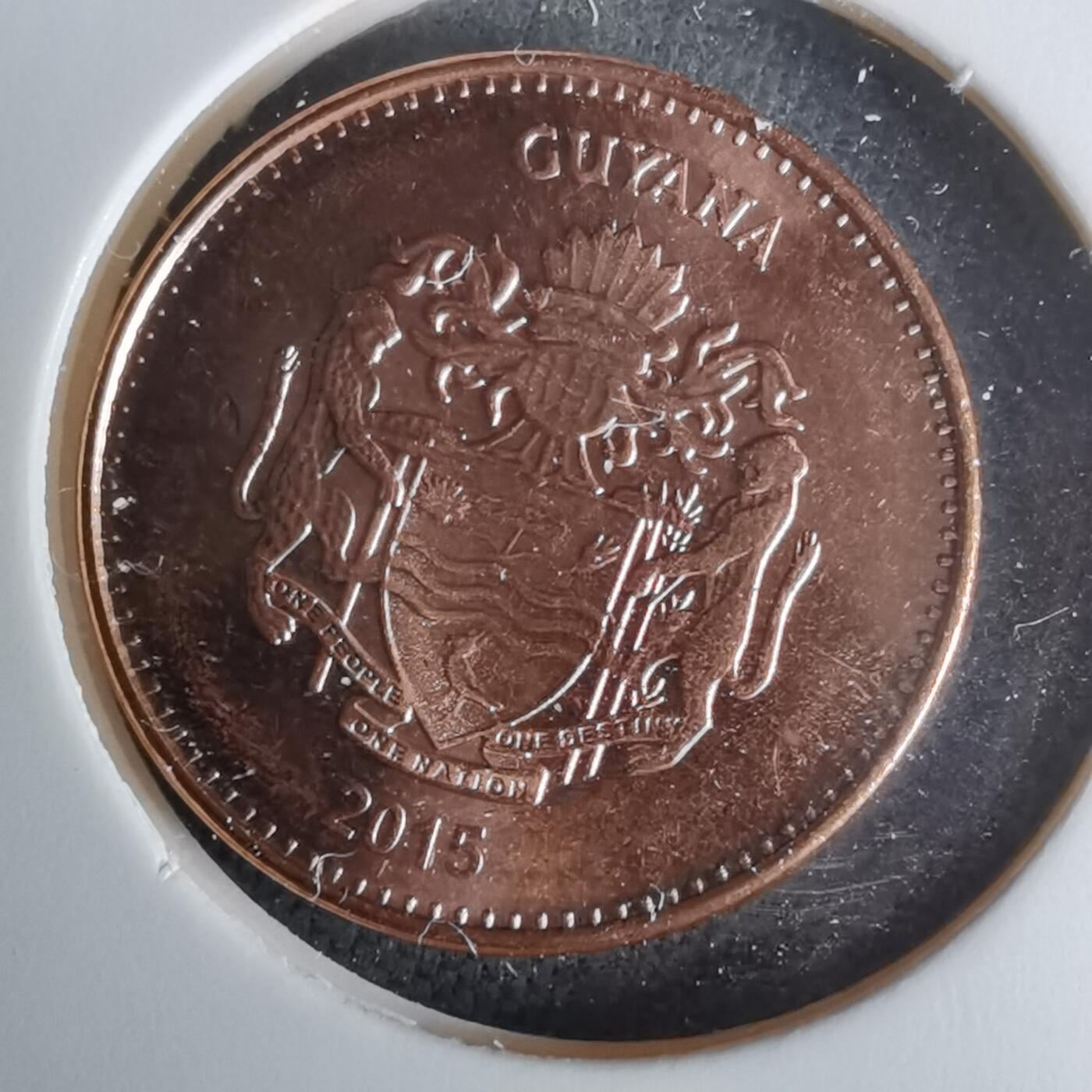 沼泽如烟--第1025场