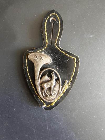 老王徽章第187期 - 法国第22山地步兵营证章