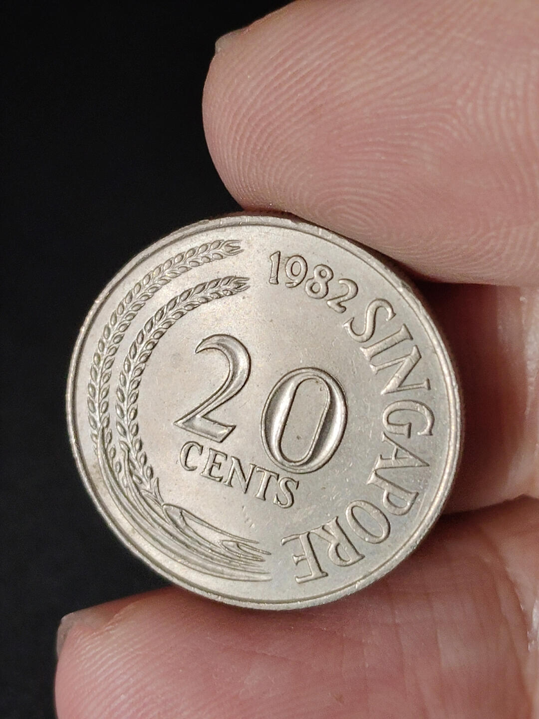 猩哥外币小铺➨【第221场】