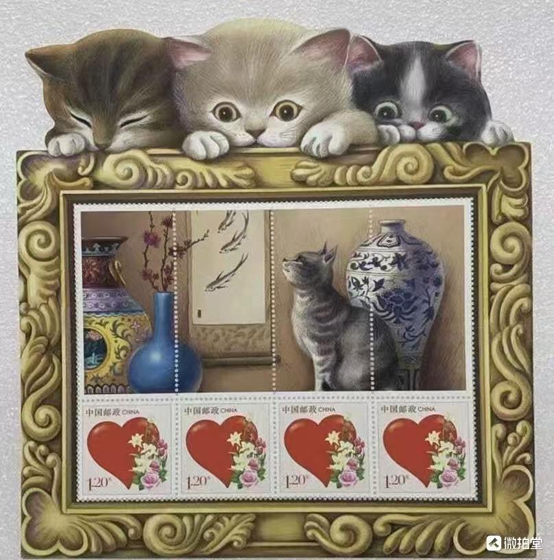 “宠物-猫”小版1对2版。