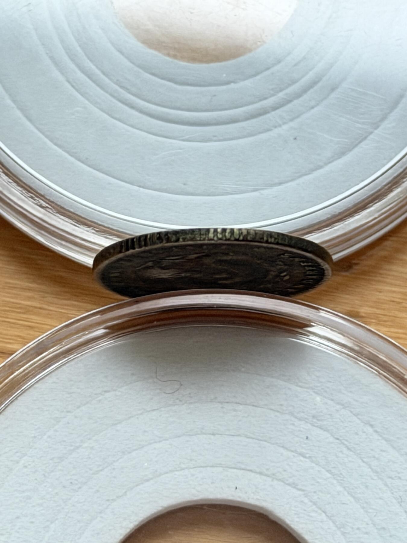 海外回流精品专场