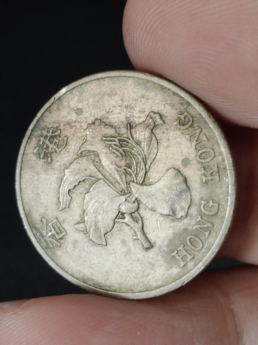 猩哥外币小铺➨【第221场】 壹圆