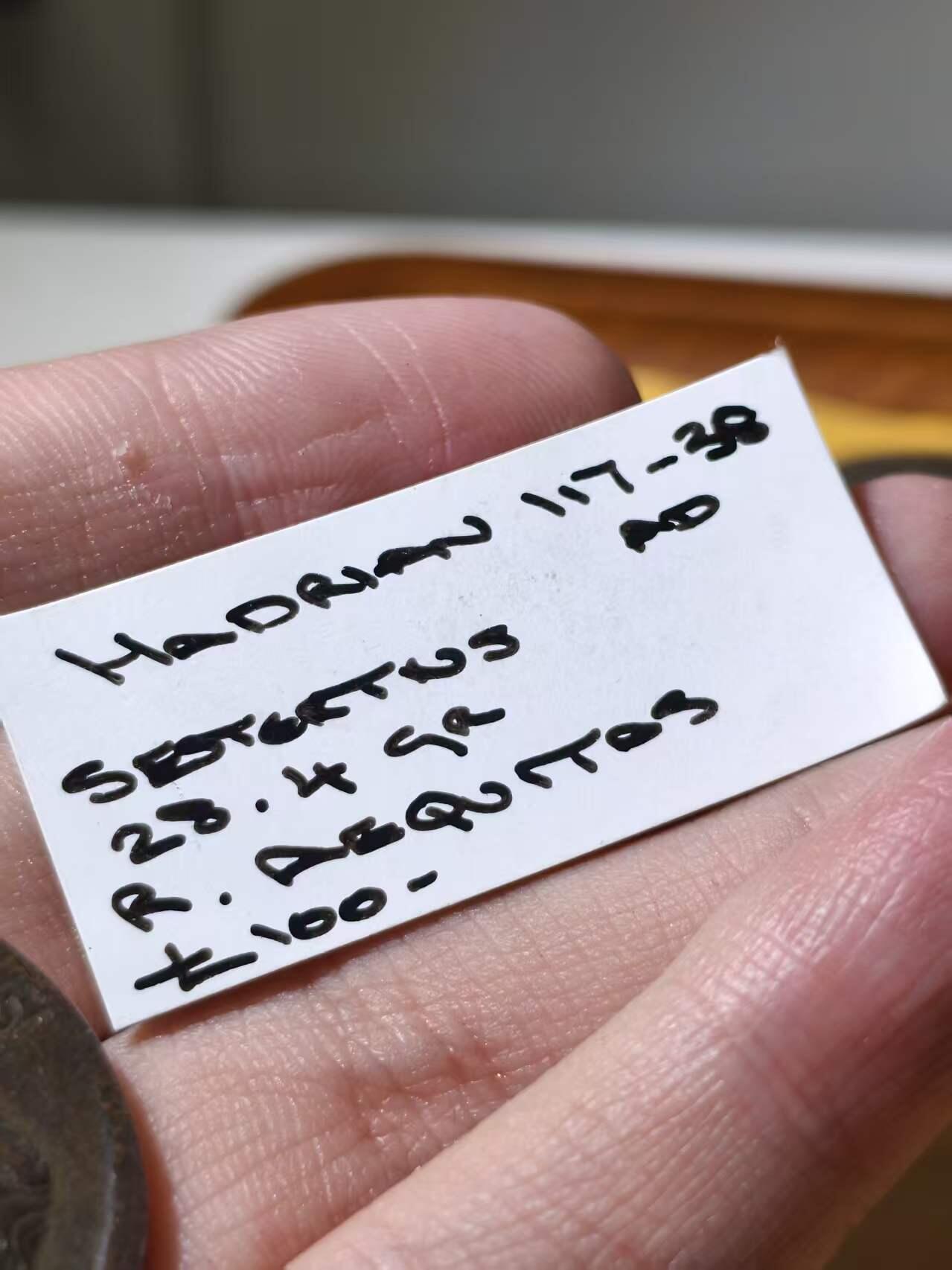 星盘世界钱币拍卖