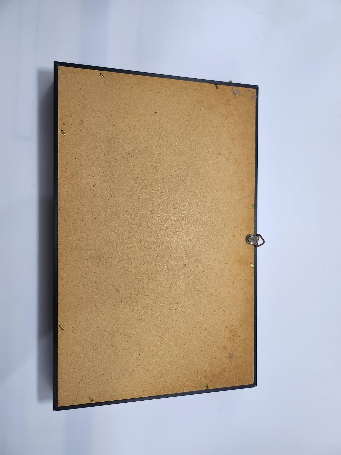 南水社第3次拍卖 春季专场  朝鲜半岛三八线非军事区（DMZ）限量发行原物铁丝网