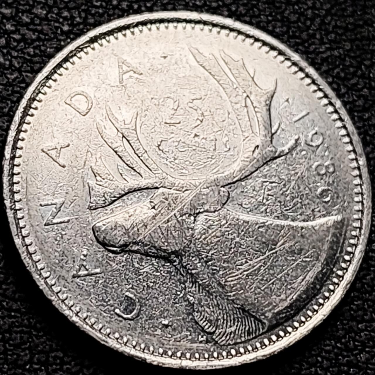 泉币菌-第210场-拍品多 请提前出价 。