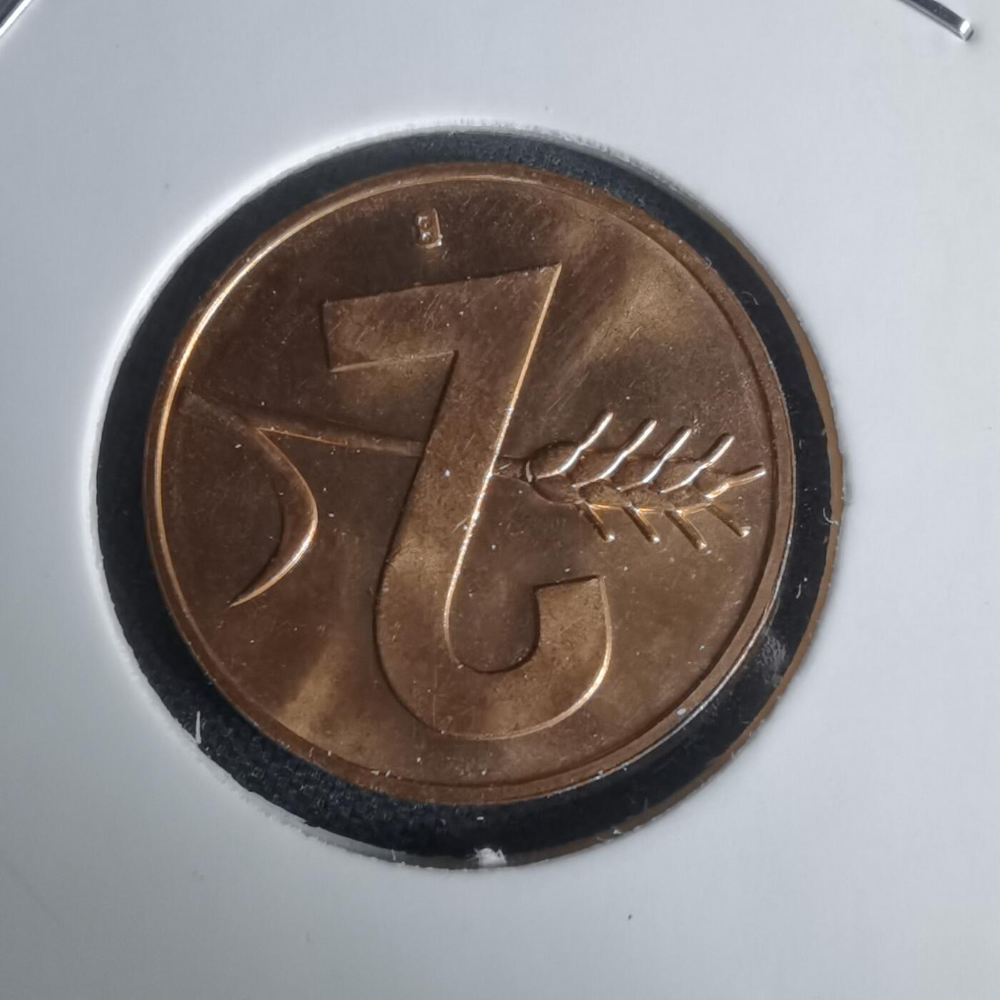 沼泽如烟--第1024场