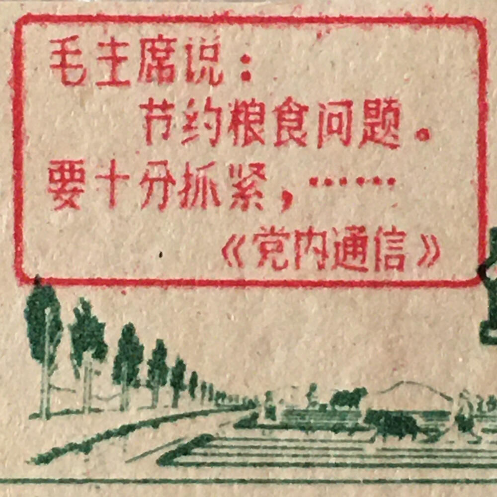         珍稀雨露1967年浙江省定额粮票壹市斤、伍市斤、拾市斤全新品相未流通一套3枚原版真品如图供应票证旧藏文玩艺术收藏