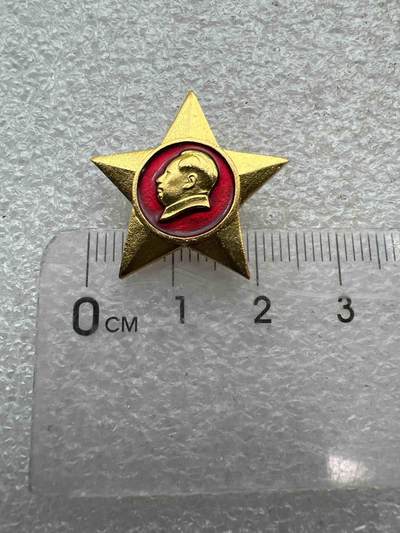 真品像章、纪念章 - 真品像章、纪念章、