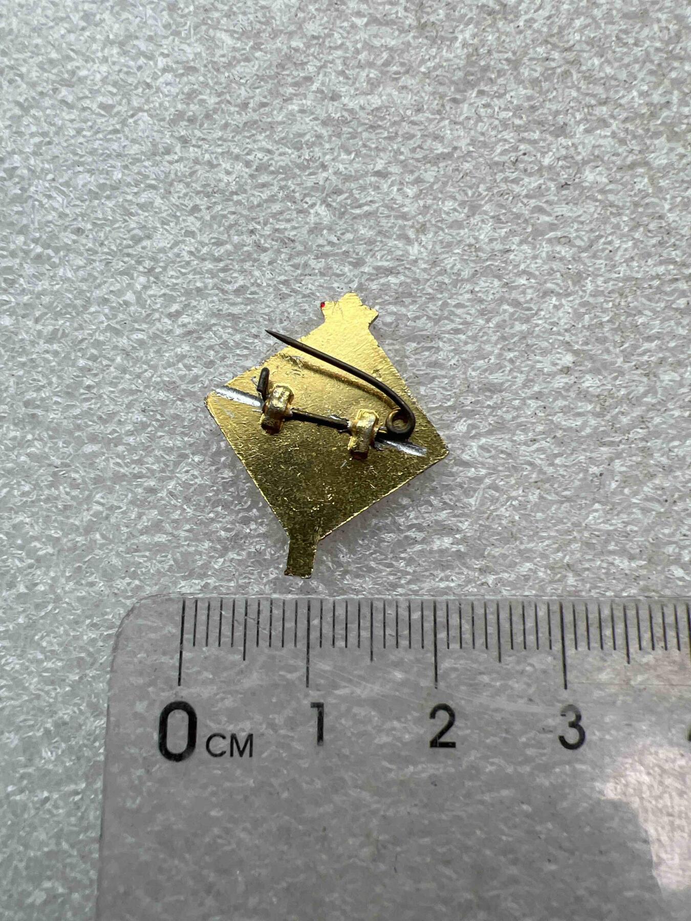 真品像章、纪念章