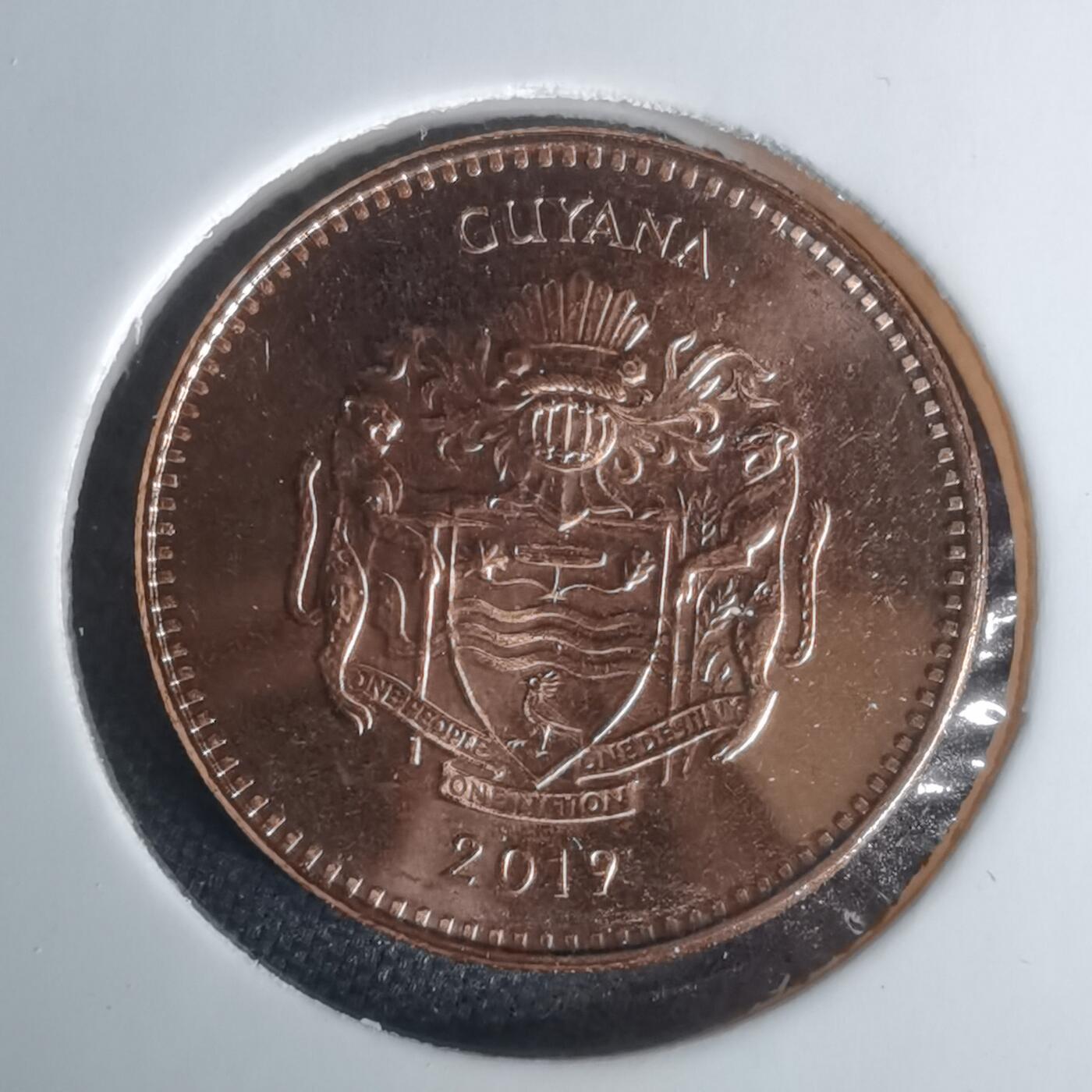 沼泽如烟--第1024场 圭亚那2019年五元