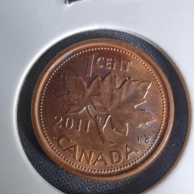 沼泽如烟--第1023场 - 加拿大2011年一分