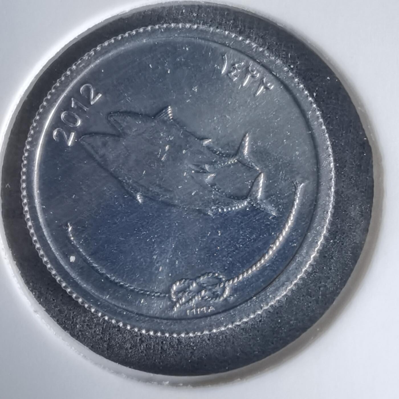 沼泽如烟--第1024场 马尔代夫2012年5拉雷