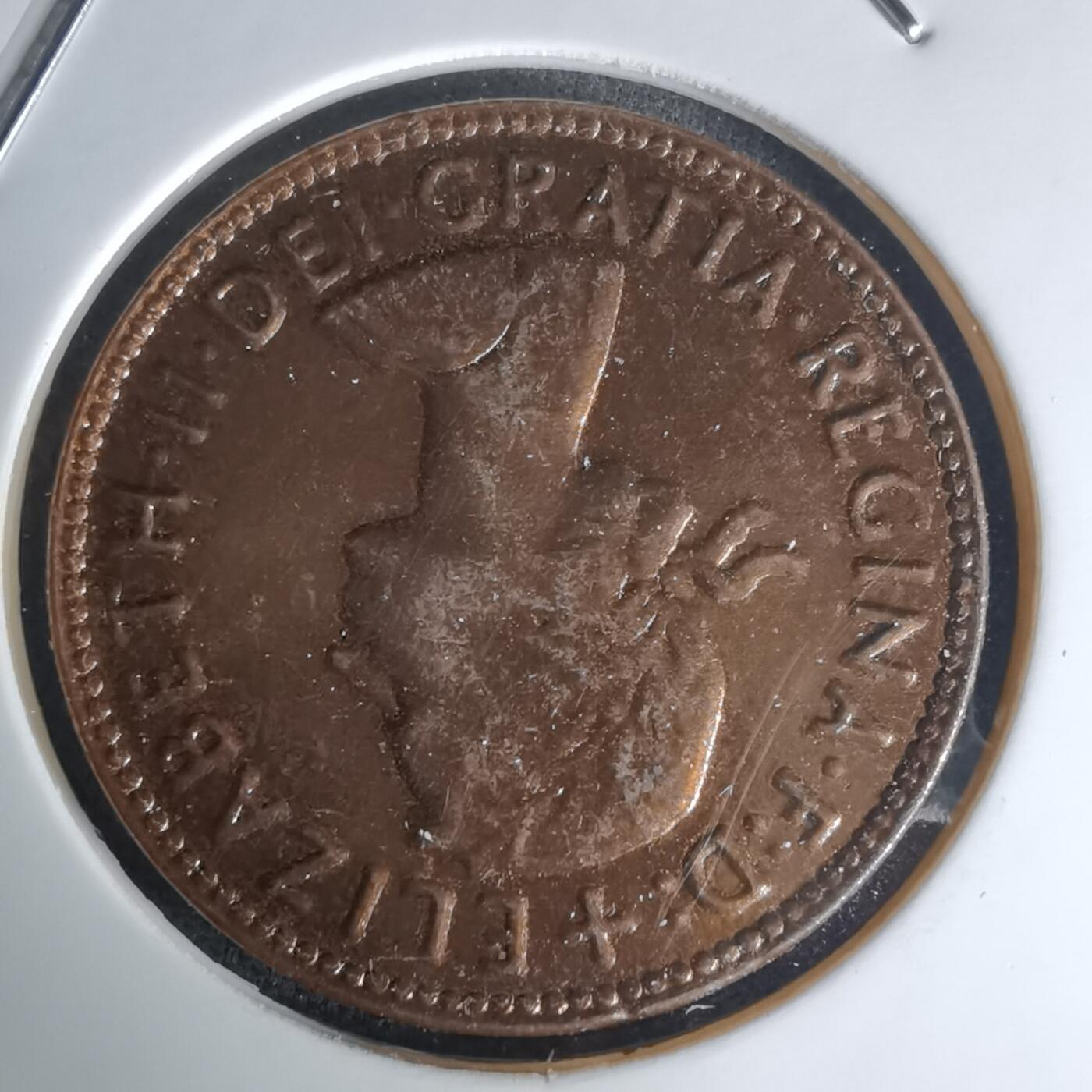 沼泽如烟--第1023场