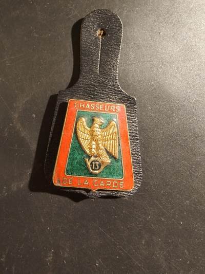 老王徽章第187期 - 法国陆军第13山地猎兵团证章