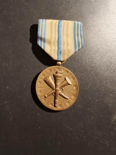 老王徽章第187期 - 美国海军预备役服役奖章