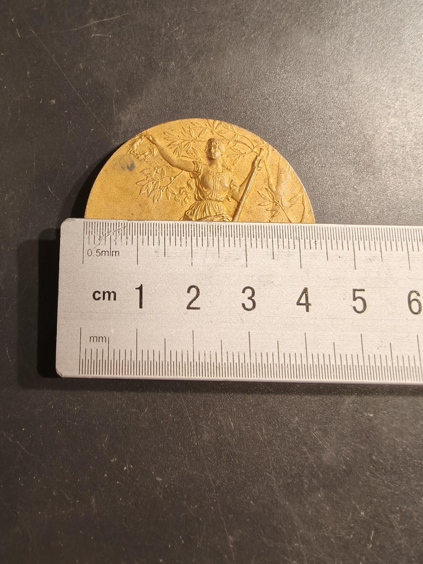 老王徽章第187期 法国玛丽安娜农业主题镀金大铜章    大师路易波特作品    直径43mm     重量43g