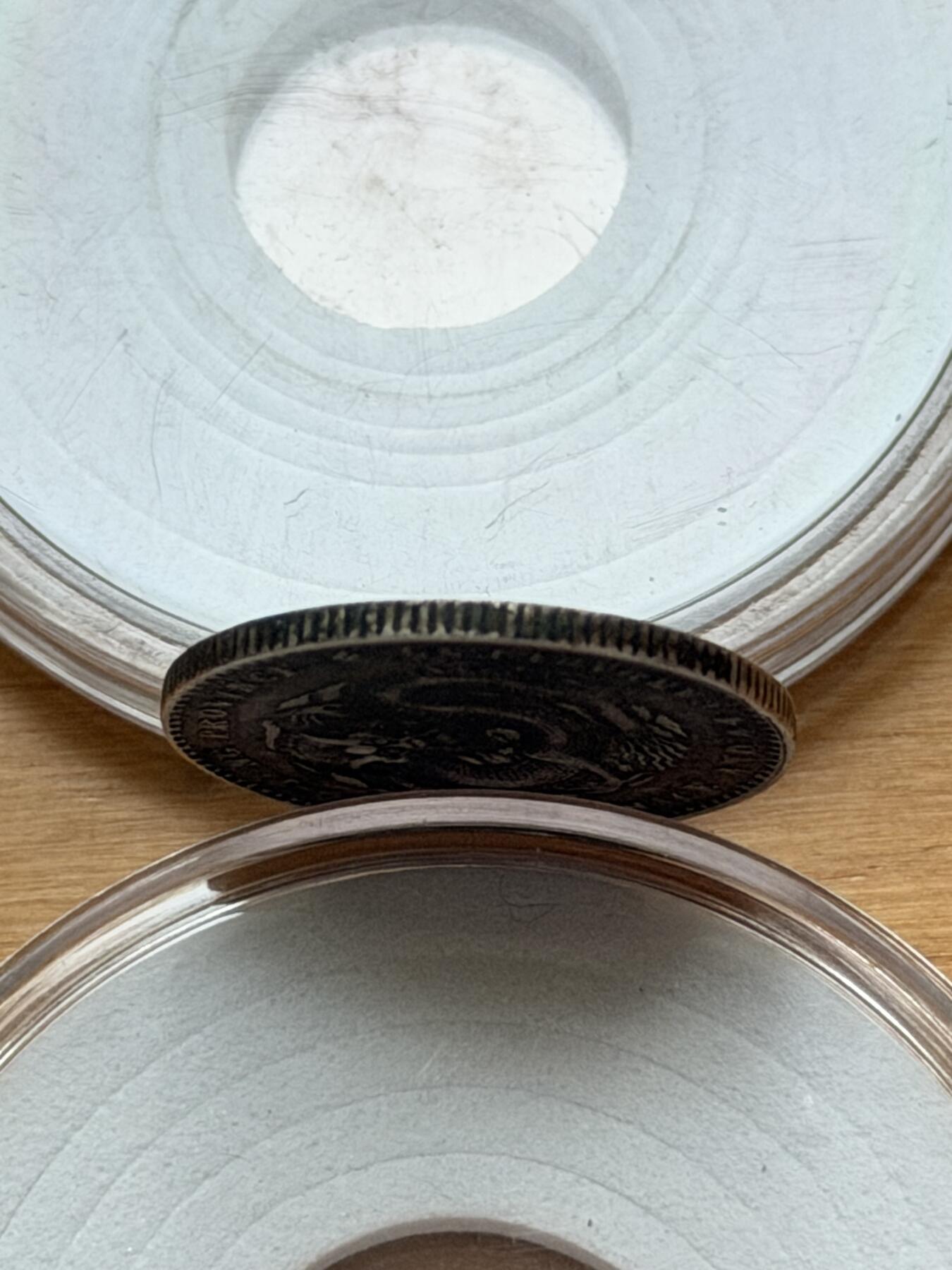 海外回流精品专场