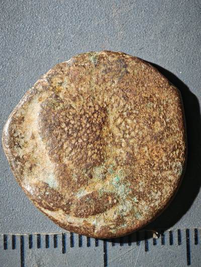 120期新疆红钱粟特钱币丝路钱币专场 - C丝路铜币版式