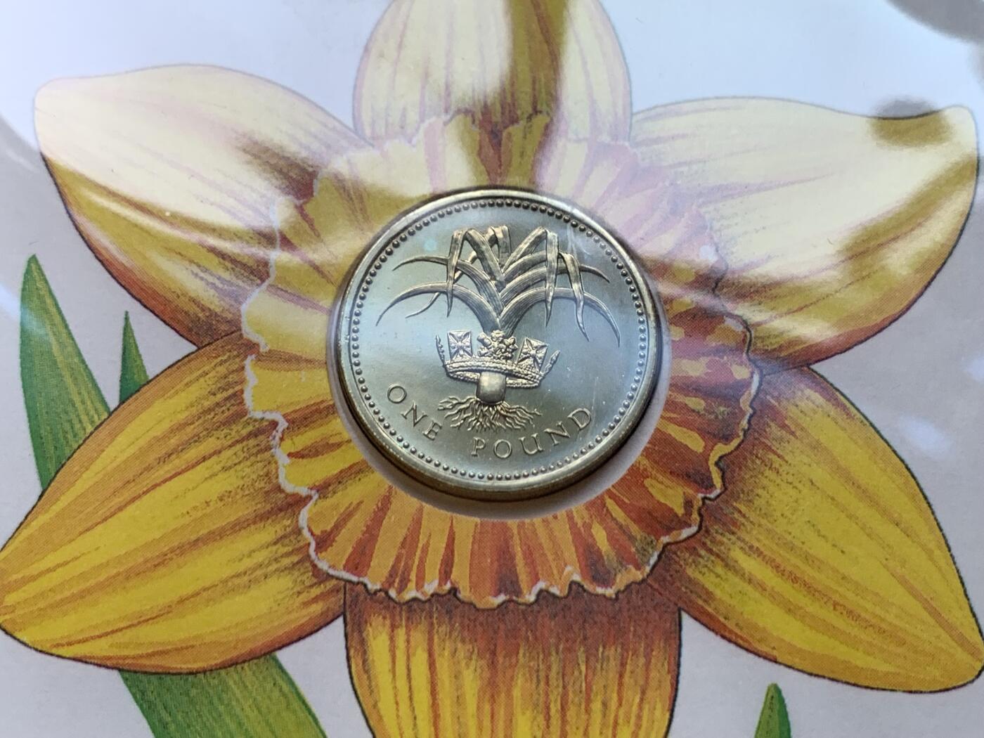 《竞宝斋》第470场 周日，周一，周二 3场连拍 （全场包邮）欢迎送拍 两枚一组 1985年英国老1英镑首日封/邮币封（Royal Mint和Royal Mail联合发行）